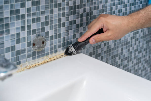Best Mold Testing and Inspection Services in St Henry, OH